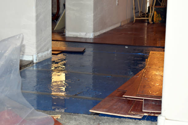 Professional Water Damage technician working in Fate, TX