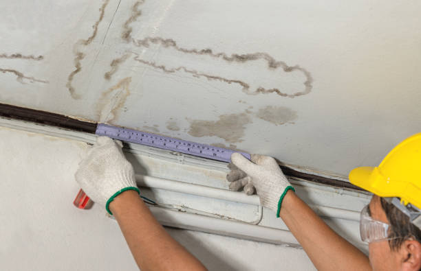 Reliable Water Damage contractor in Fate, TX by Water Damage Irwin